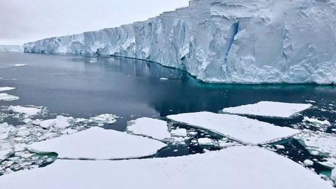 “Қиёмат куни музлиги” эриши тезлашди, Нью Йорк сув остида қолиши мумкин