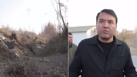 “Буйруқ бор, кесинглар” — Самарқандда мингга яқин дарахт аҳолининг ўзига кестирилгани айтилди