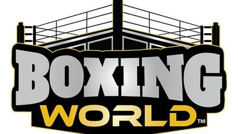 Ташкент примет Кубок World Boxing 2026 года