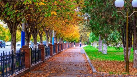 Дам олиш кунлари Ўзбекистонда ҳарорат яна пасаяди