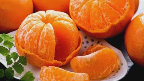 Shirin yoki nordon: mandarin tanlash bo‘yicha layfhaklar