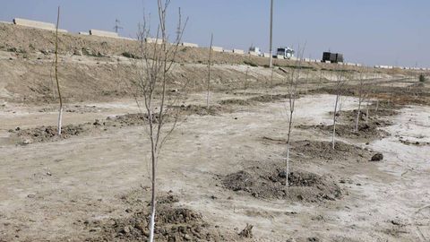 Buxorodagi ekoreydlarda mansabdorlar 300 mln so‘mdan ortiq jarimaga tortildi