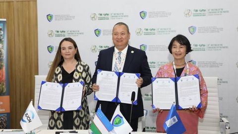 Uzbekistan launches EcoLand project to restore high-value landscapes across regions