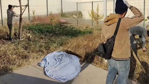 Сурхондарё юқумли касалликлар шифохонаси бош шифокори ходимларини мажбурий меҳнатга жалб қилгани аниқланди