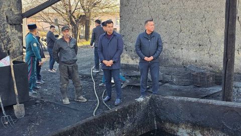 Чўчқа боқиш учун: Самарқандда ҳавони ифлослантирган тадбиркорга чора кўриладиган бўлди