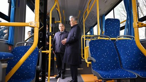 Uzbekistan expands public transport in Gulistan with 52 new modern buses