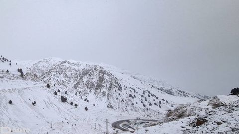 Toshkent va Namangan viloyatlarida qor ko‘chishi mumkin
