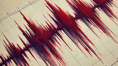 O‘zbekistonda yana zilzila sodir bo‘ldi. Bu safar 4 balli