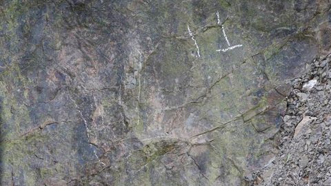 Xitoyda 200 mln yil avvalgi 20 dan ortiq dinozavr izlari topildi — China Daily