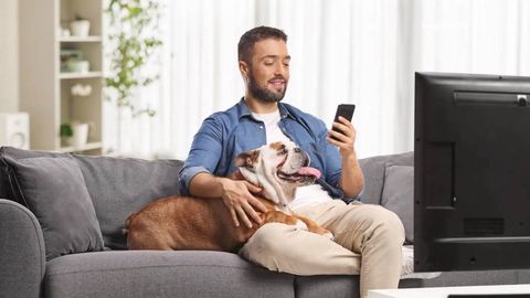 Сунъий интеллектдан мазмунини изоҳлаб бериш энг кўп сўралган фильмлар рўйхати эълон қилинди