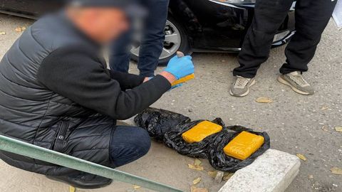 Ўзбекистонда қарийб 250 кило наркотик модданинг ноқонуний муомаласига чек қўйилди