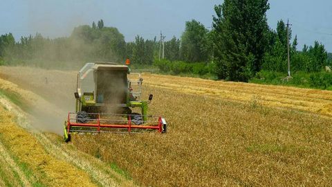 O‘zbekistonda ayrim yosh agronomlarga 2 ming dollardan oylik to‘lanadi