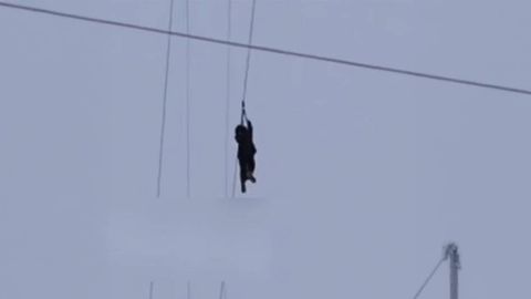 Qamchiq dovonidagi dor yoʻlidan tushib ketgan qiz haqida ma’lumot berildi