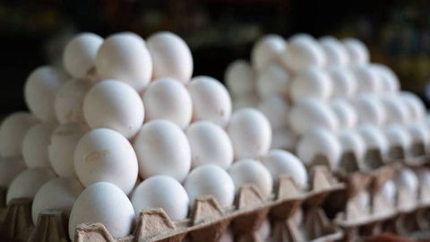 Kazakhstan introduces temporary one-month ban on chicken egg imports
