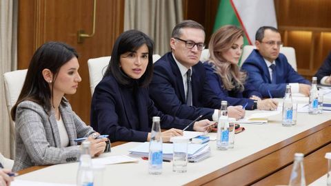 “Inson taqdiri statistikadan ming karra muhimroq” — Saida Mirziyoyeva