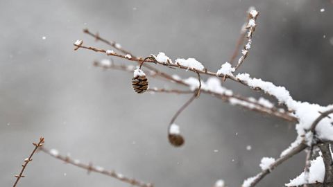 Ўзбекистоннинг қатор ҳудудларида 18 декабрь куни қор ёғади