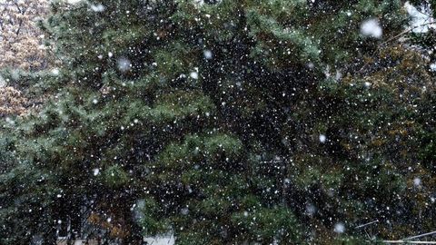 “Ўзгидромет” 19 декабрда қайси ҳудудларда қор ёғишини эълон қилди