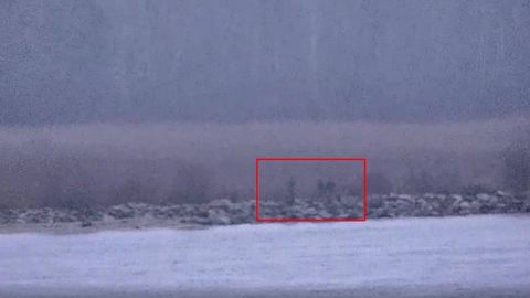 Rossiya chegarachilari Estoniya hududiga kirdi (video)