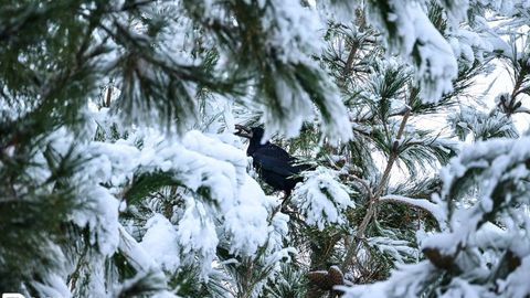 В выходные в Узбекистане снова ожидаются осадки