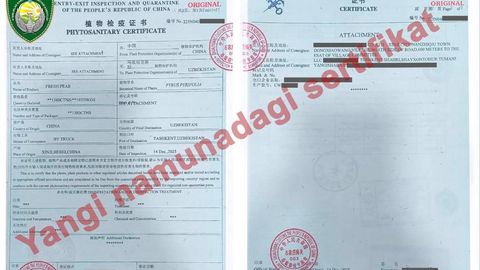 Хитойдан олиб келинаётган маҳсулотлар чегарада ушлаб қолинаётганига расмий изоҳ берилди