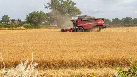 Karbonat angidrid sabab oziq-ovqat tarkibida zaharli qo‘rg‘oshin ortib bormoqda — tadqiqot