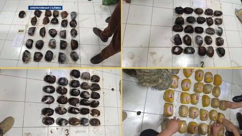 В Узбекистане пресечена попытка ввоза из Таджикистана более 100 кг наркотиков