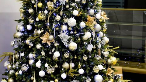 O‘zbekistonda davlat idoralariga byudjet hisobidan Yangi yil korporativlari o‘tkazish taqiqlandi