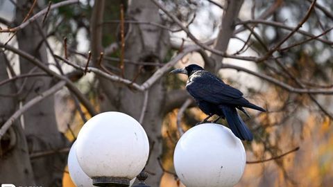 O‘zbekistonda havo harorati ko‘tarilishi kutilmoqda