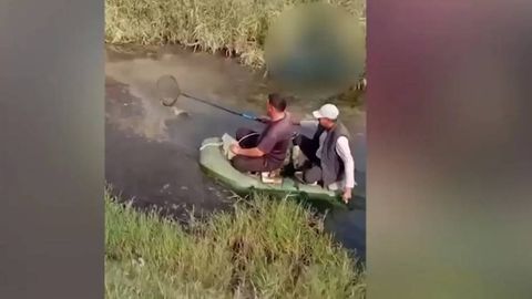 Sirdaryo havzasidagi ekoreydlarda tabiatga 52 mlrd so‘m zarar yetkazilgani aniqlandi