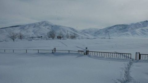 Эрон 2000 дан ортиқ афғонистонлик муҳожирни қаттиқ совуқдан қутқарганини маълум қилди