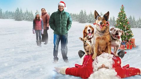 Qish tarovatini ulashuvchi eng yaxshi filmlar (treyler)