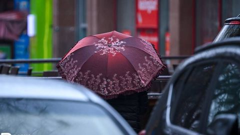 На выходных в ряде регионов Узбекистана ожидаются дожди