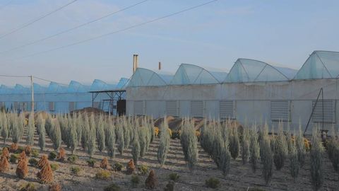 Uzbekistan to close and relocate unfiltered coal-fired greenhouses in Tashkent