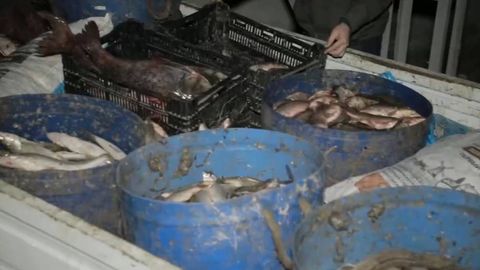 Браконьеры, незаконно выловывшие рыбу в Навои, причинили природе ущерб на 680 млн сумов