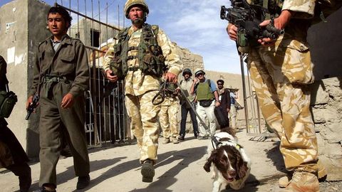 Sobiq afg’on harbiylari Britaniya armiyasiga qoʻshilmoqchi