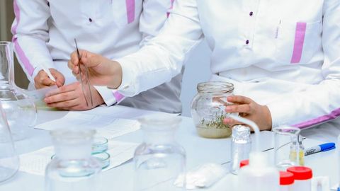 Ўзбекистонда илмий тадқиқотларни қўллаб-қувватлаш учун жамғарма ташкил этилади