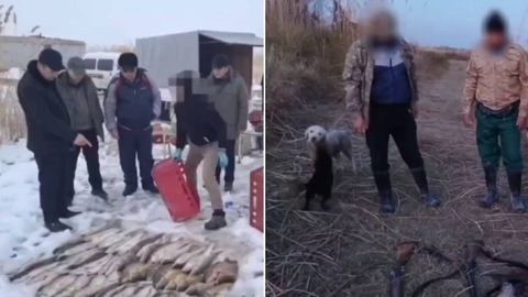 Сирдарёда ноқонуний балиқ овлаш билан боғлиқ ҳолатларда табиатга 1,6 млрд сўм зарар етказилди