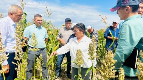 UNDP and Uzbek experts launch international roundtable on soil restoration in Aral Sea region