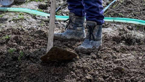 Ховос туманида фермерлар ерлари ноқонуний олиб қўйилаётгани ҳақидаги хабарлар рад қилинди