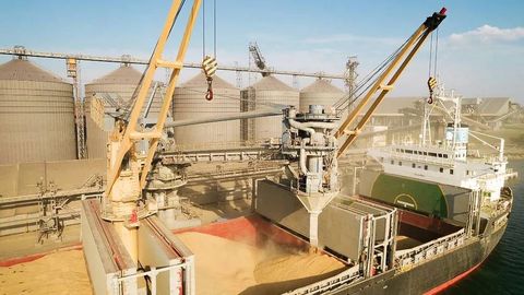 Россия 2025 йилда Украинанинг босиб олинган ҳудудларида етиштирилган 2 млн тонна донни экспорт қилди