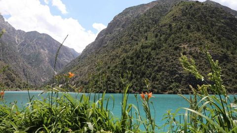 O‘zbekistonda yana ayrim o‘simlik va hayvonot turlari Qizil kitobga kiritiladi