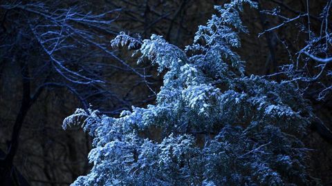 Ўзбекистонда пайшанба ва жума кунлари қор ёғиши мумкин