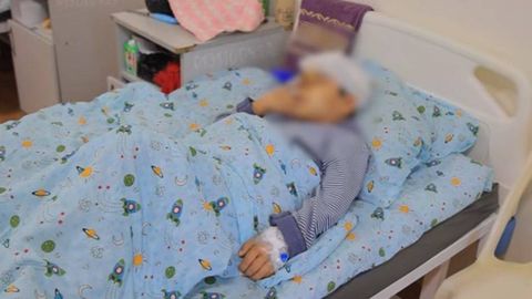 Янгийўлда 11 ёшли бола итлар ҳужумига учради. Воқеадан сўнг ҳудудда нималар ўзгарди? (видео)