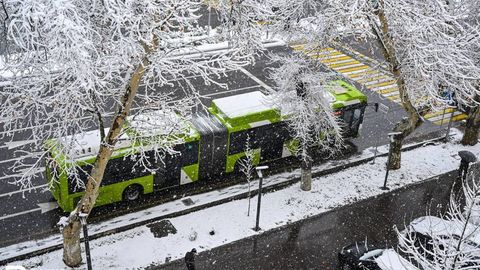 O‘zbekistonda 29-yanvar kuni ham qor yog‘ishi kutilmoqda