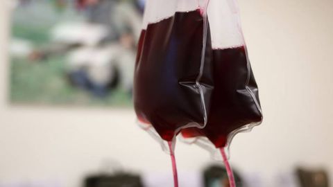 Кровь для себя: В Узбекистане утверждён порядок аутодонорства