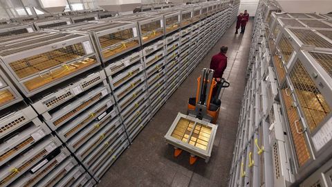 Россиянинг олтин-валюта захиралари тарихий рекорд қайд этиб, 800 млрд долларга яқинлашди