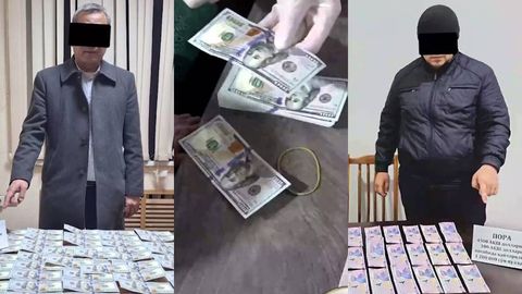 Toshkent viloyatida ekologiya bo‘limi boshlig‘i qamoqqa olindi