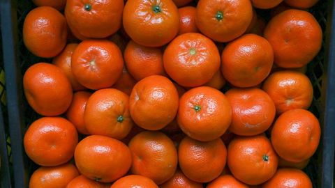 В Узбекистане временно запретили ввоз мандаринов и ананасов из Китая