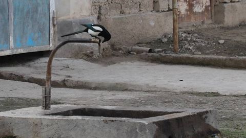 Uzbekistan expands clean water subsidies in Karakalpakstan and Khorezm