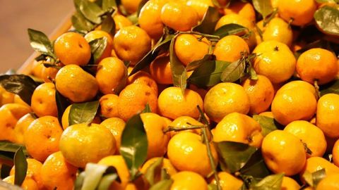 Мандарин ва ананасларни истеъмол қилиш мумкин — Ўсимликлар карантини агентлиги